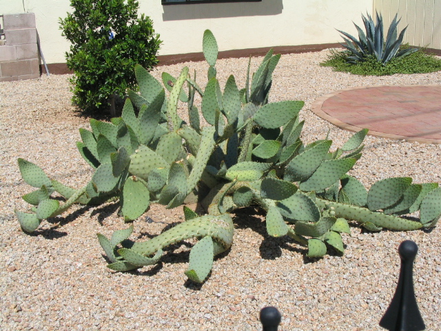 618x457 pixels (267K)